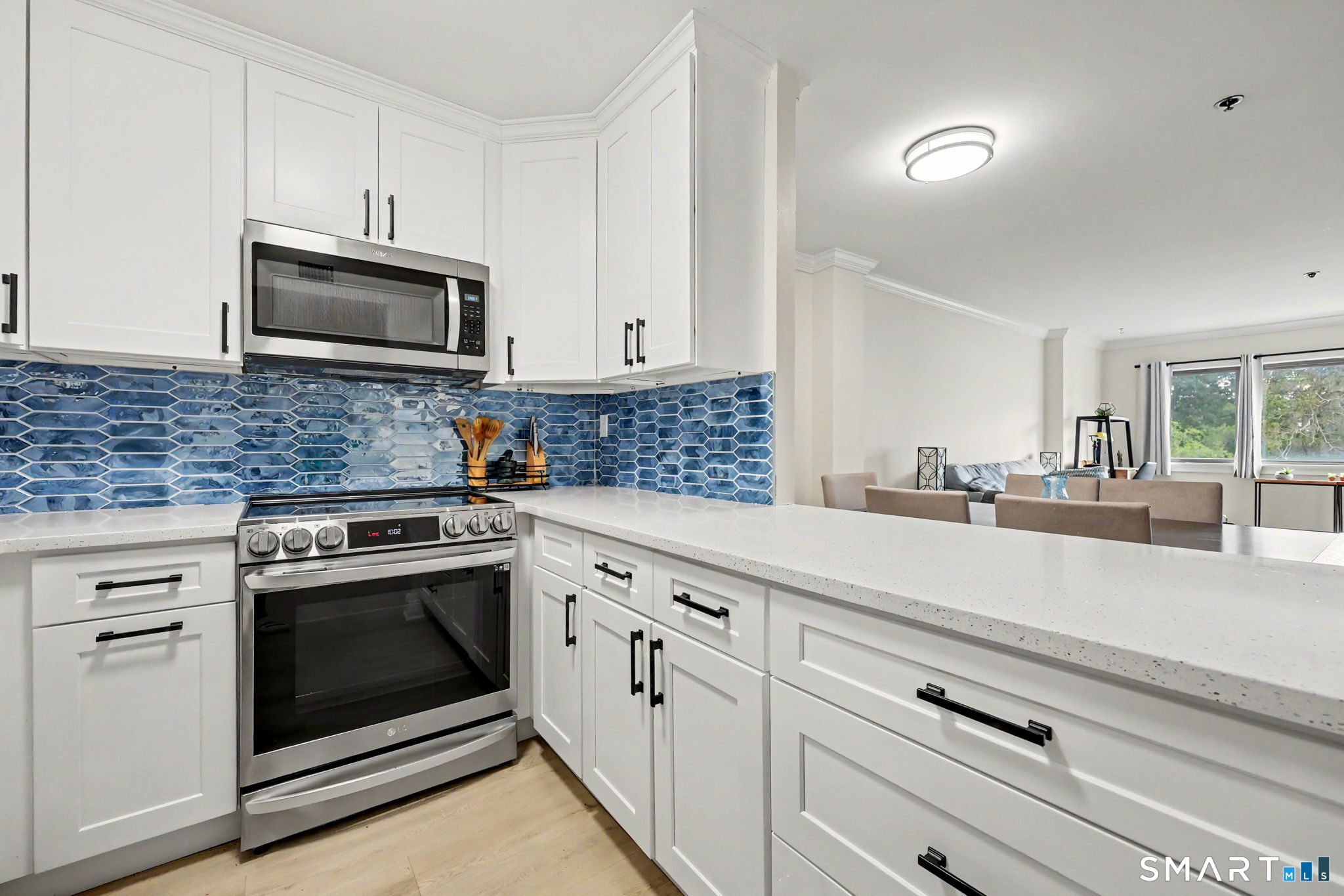 1633 Washington 3f Boulevard Property Photo 4