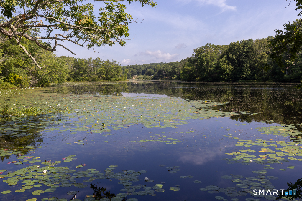 159 Wrights Pond Road Property Photo 1