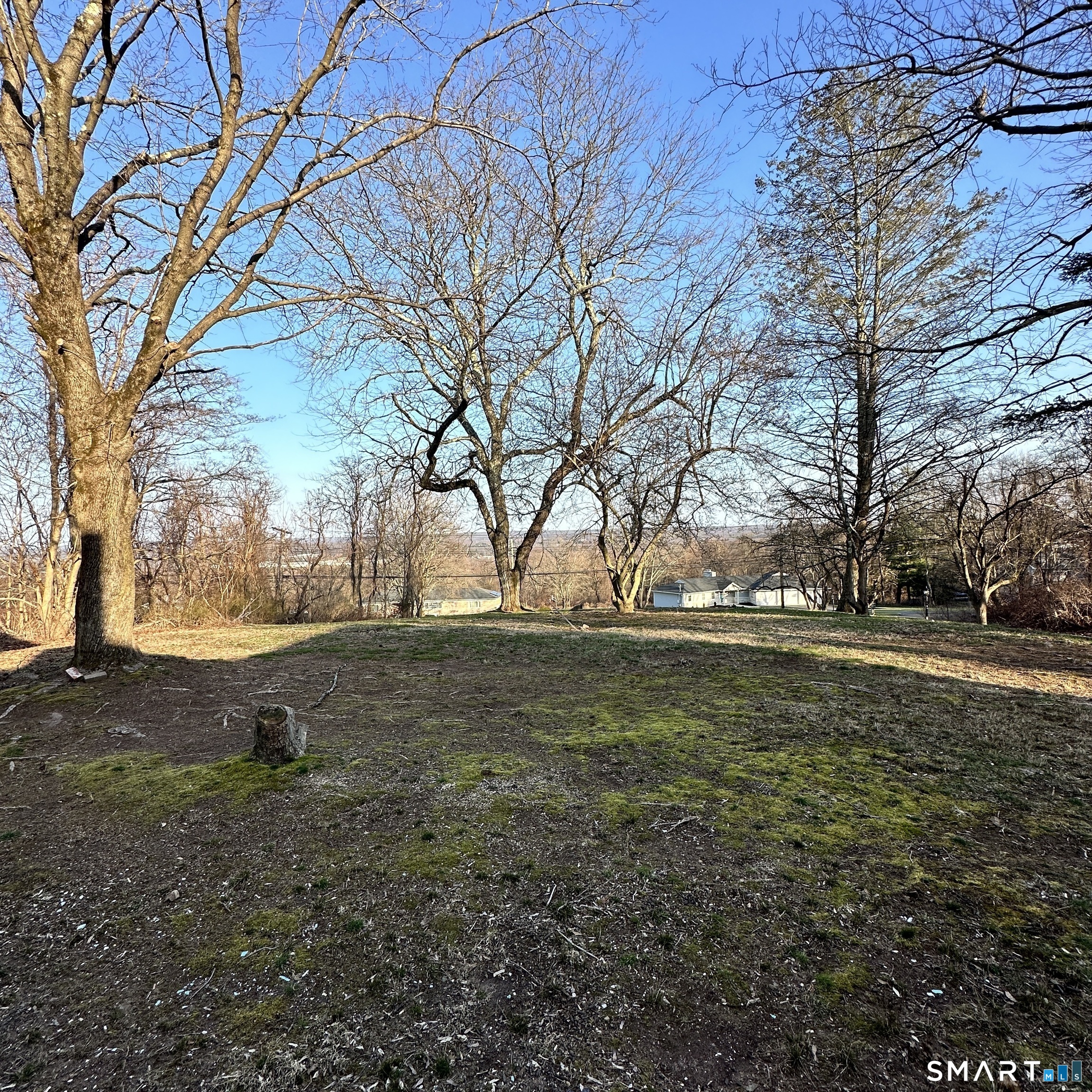 167 Kings Highway Property Photo 22
