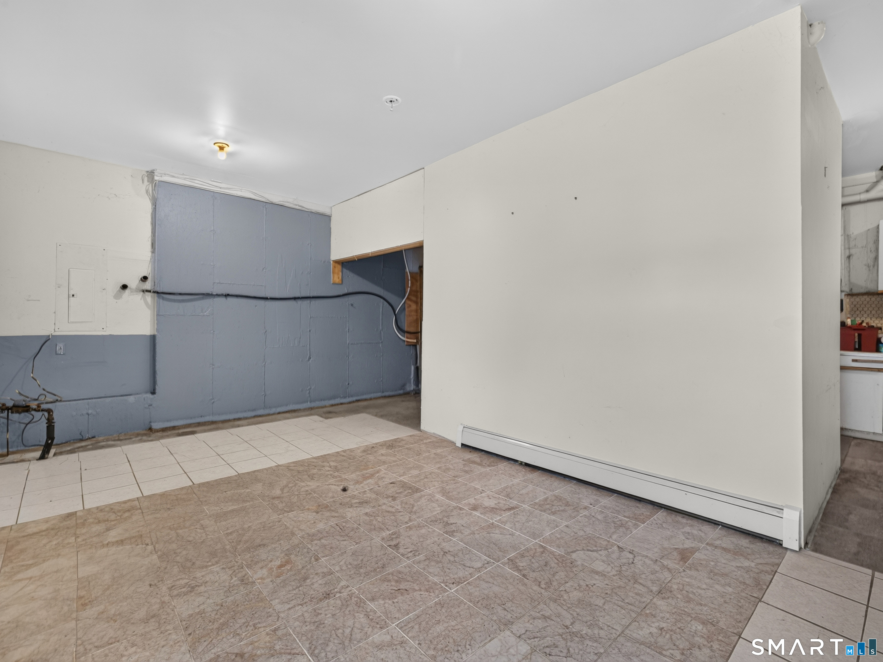 229 Palmer St Extension Property Photo 36