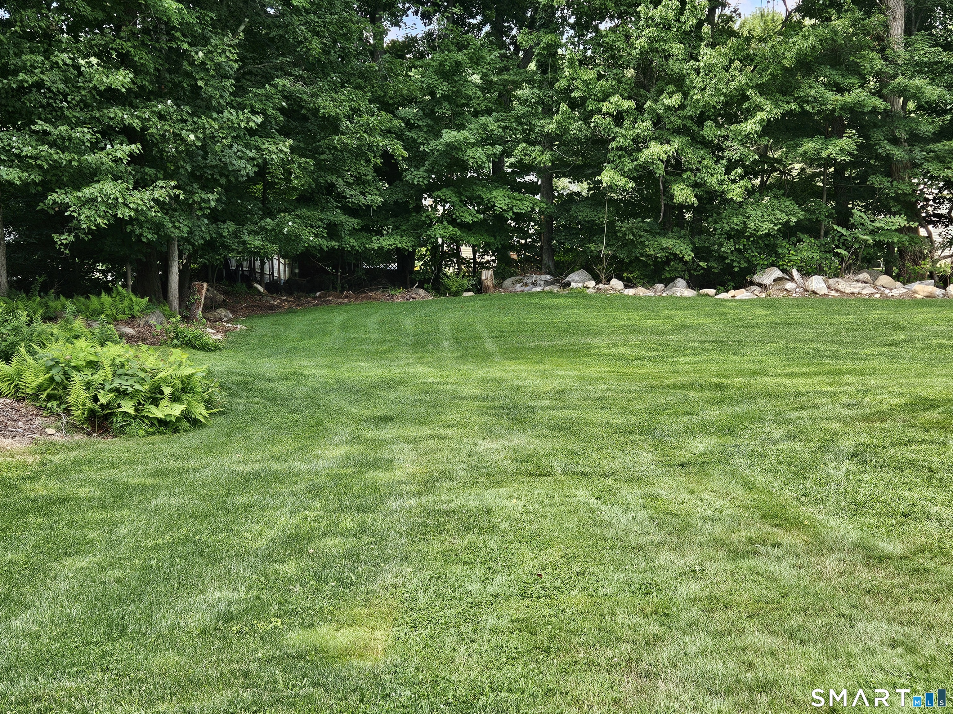 529 Wooster Street Property Photo 4