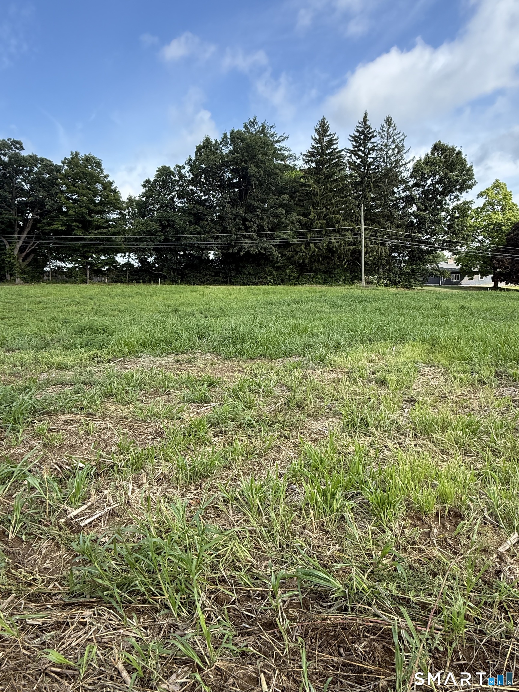 (lot 11) 24 Broad Brook Road Property Photo 38