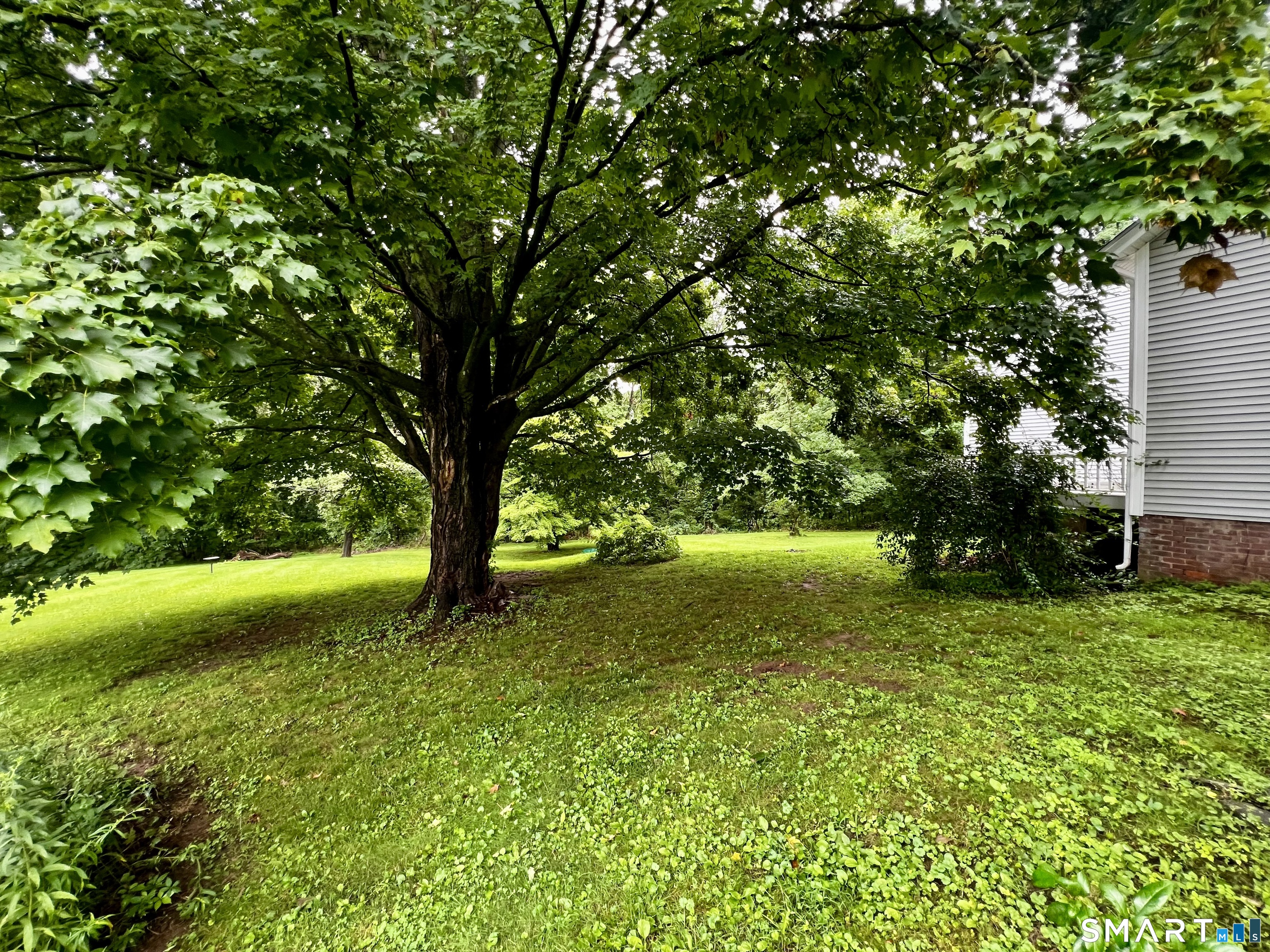 128 East 1 Street Property Photo 7