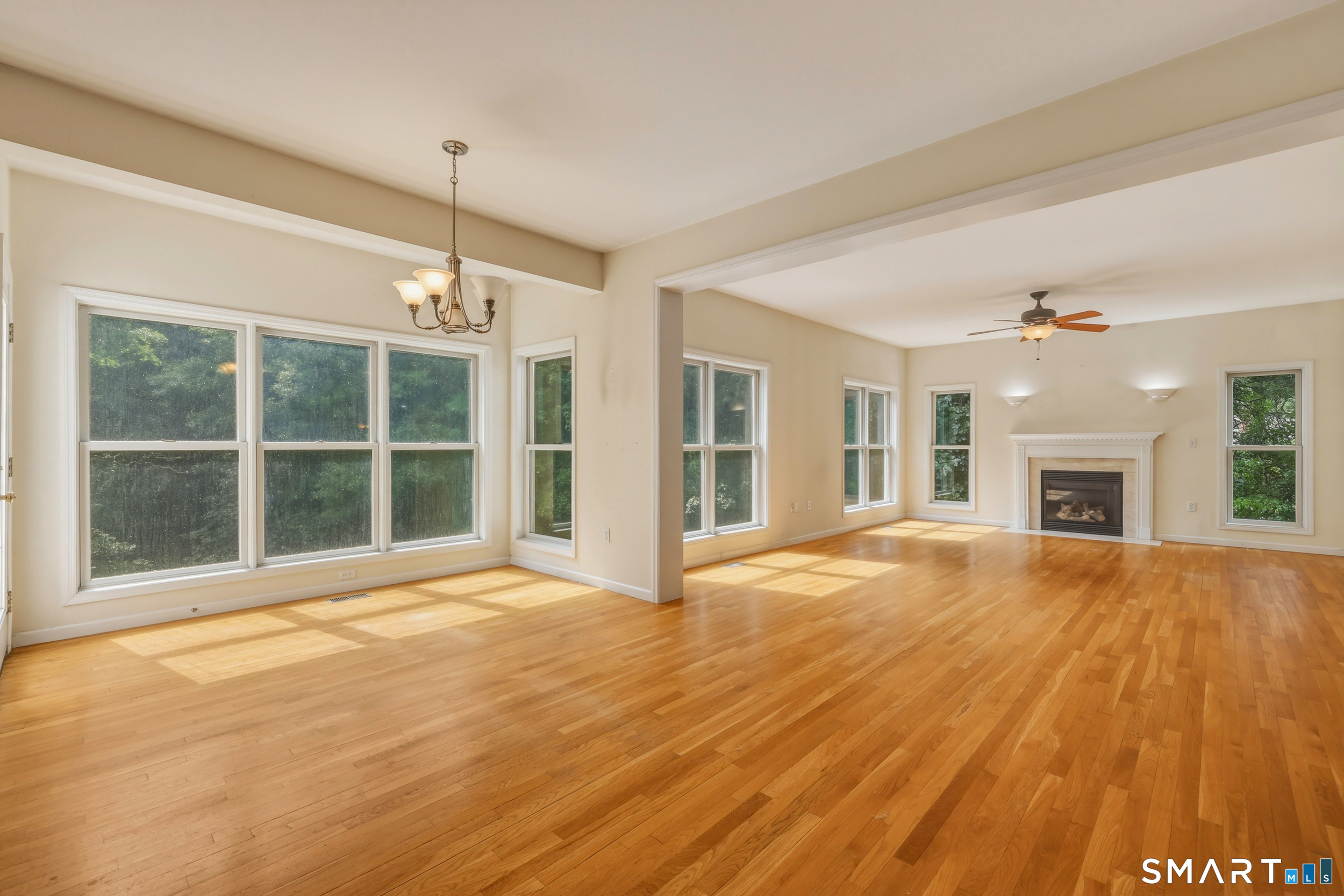 15 Davison Road Property Photo 14