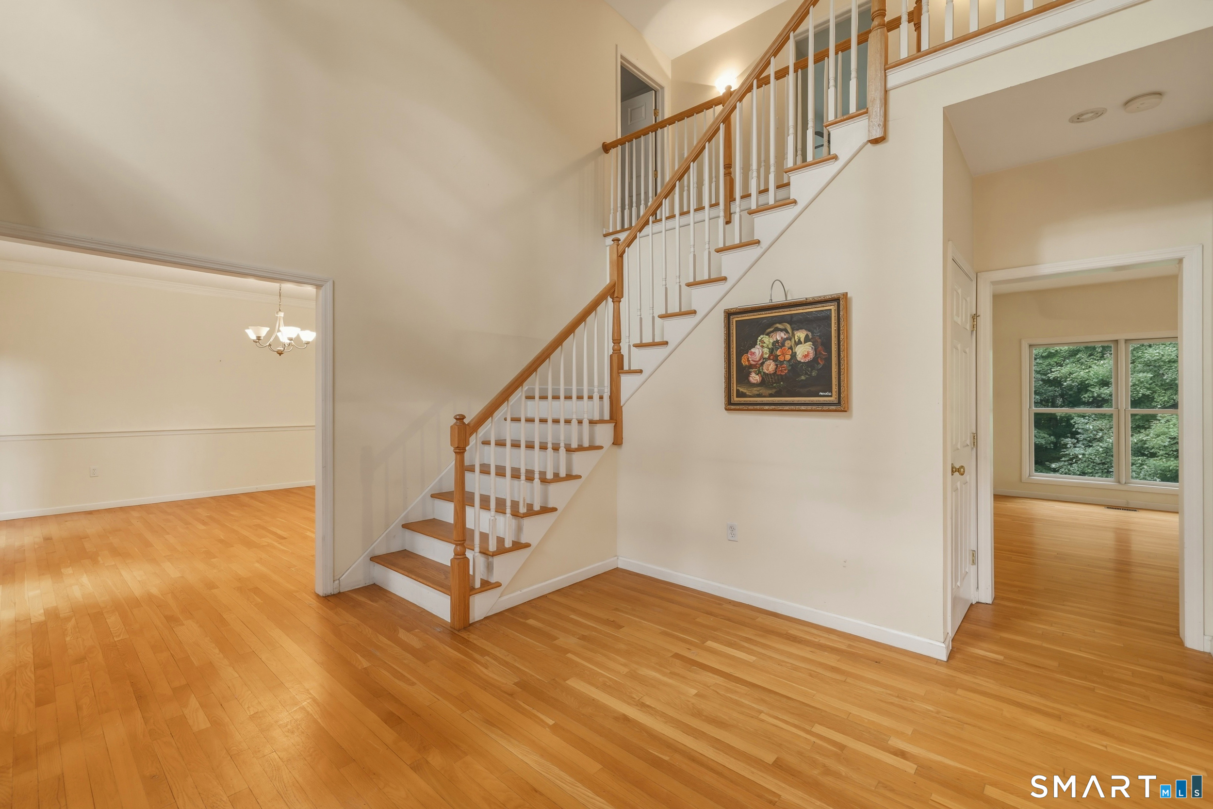 15 Davison Road Property Photo 19