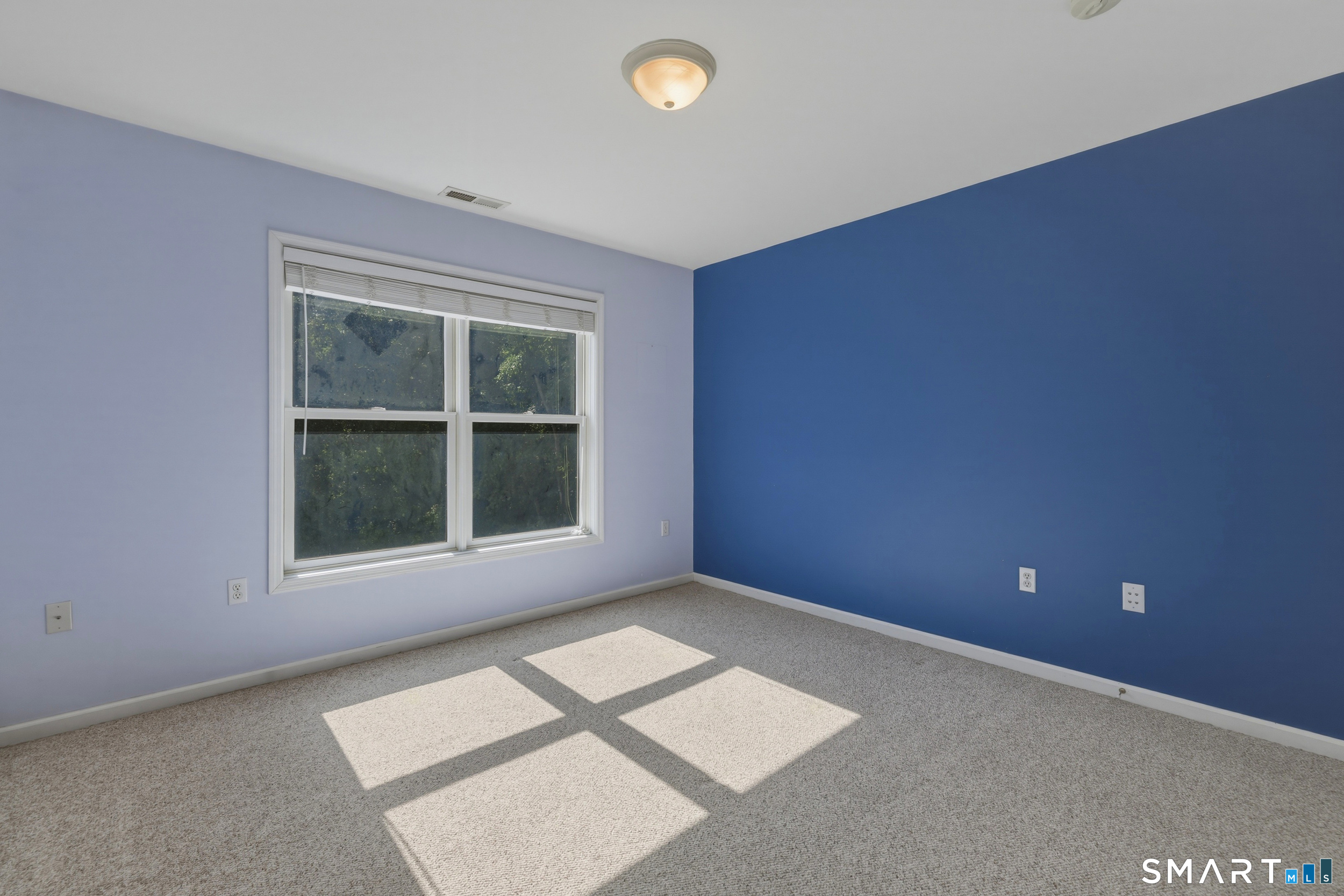 15 Davison Road Property Photo 25