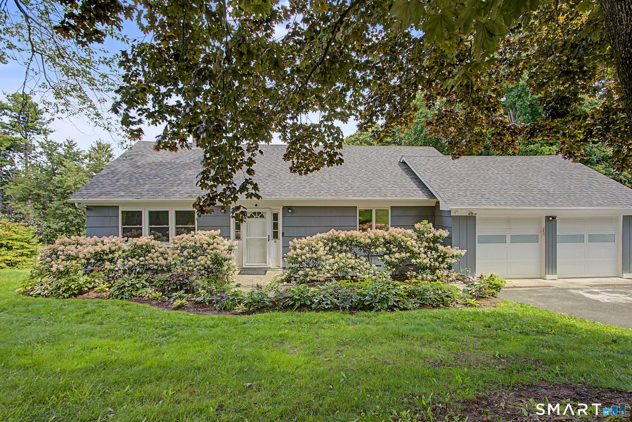 19 Governors Lane Property Photo 1