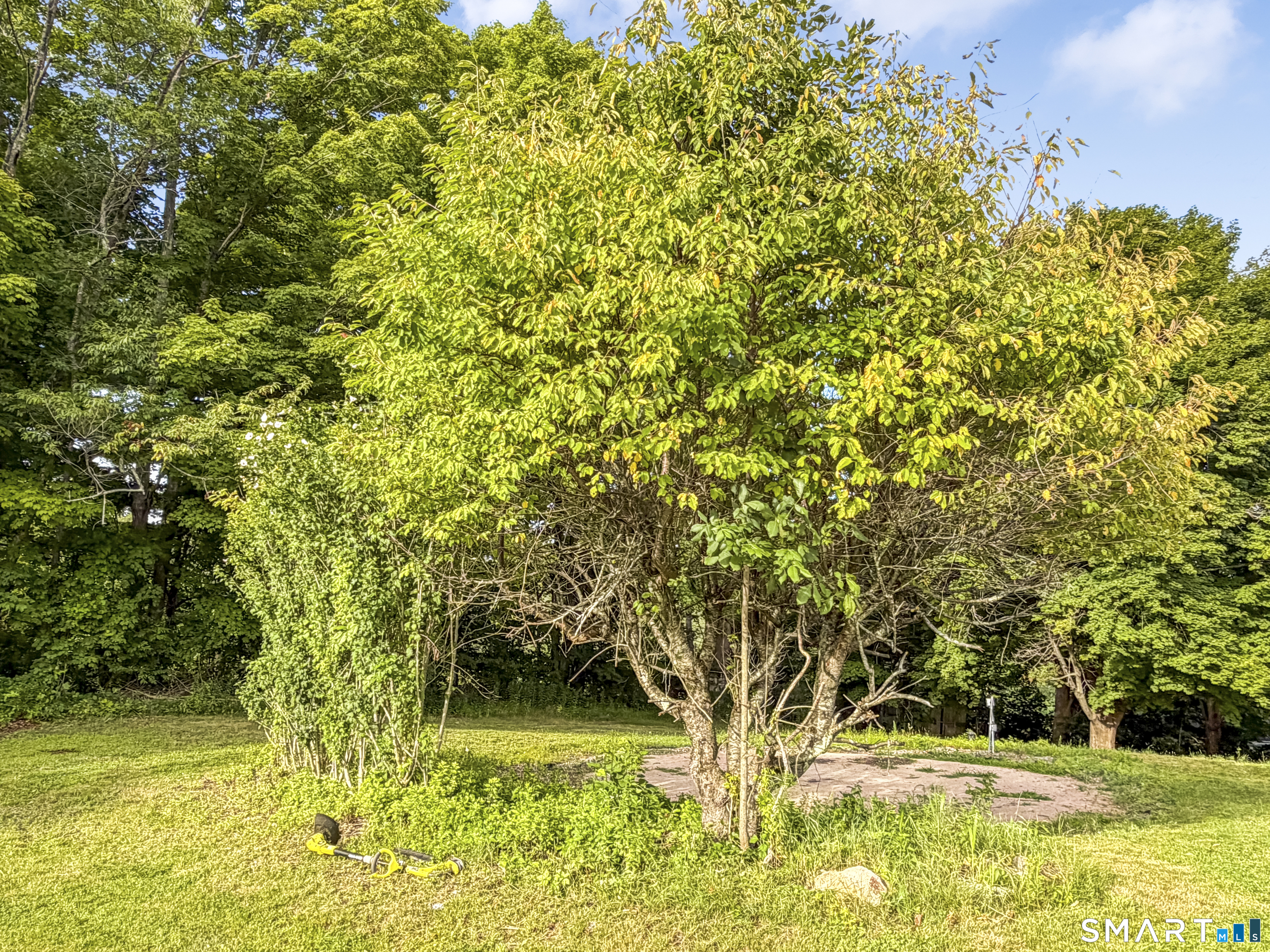 24196755 Property Photo 34