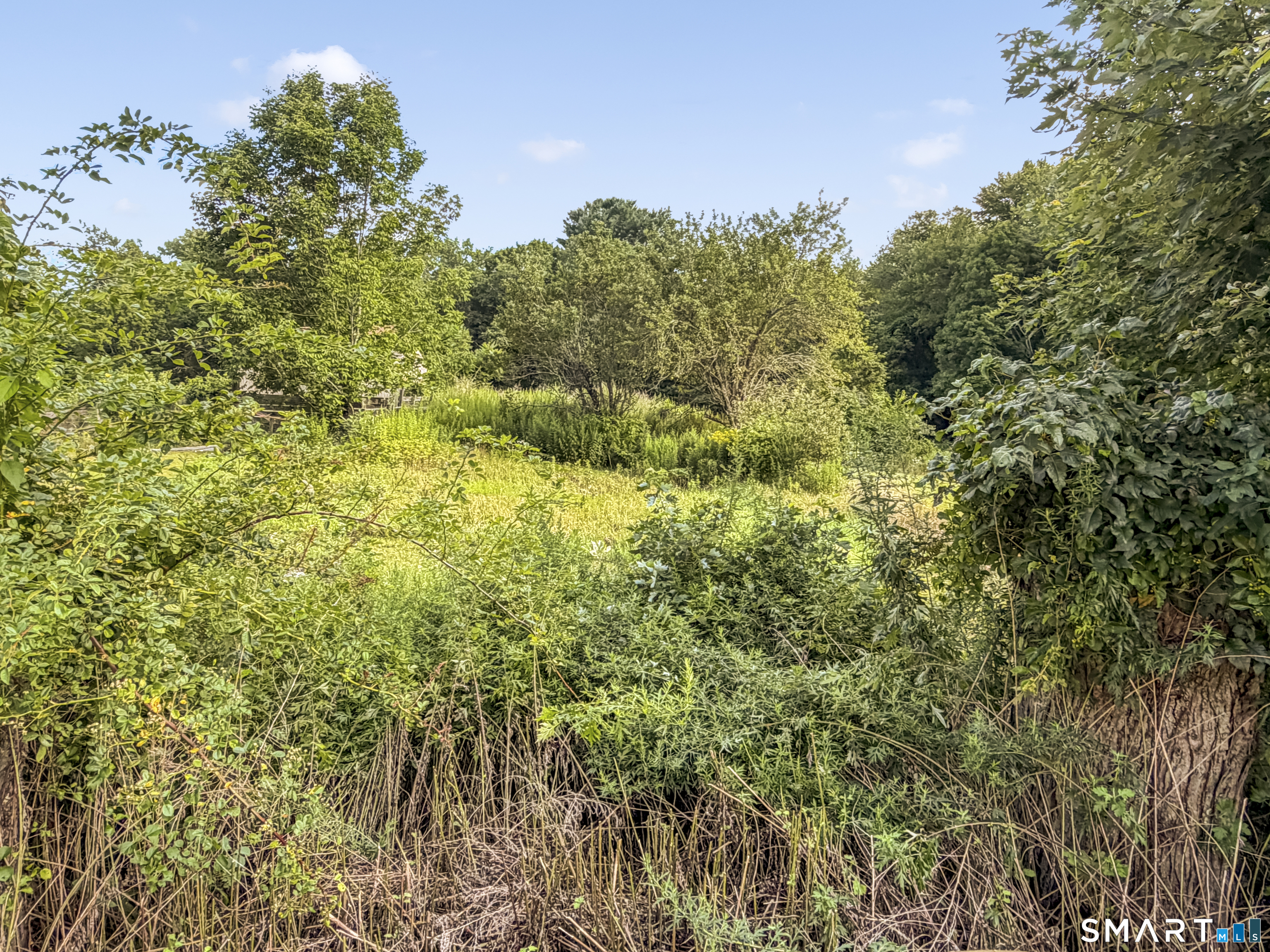 24196755 Property Photo 36