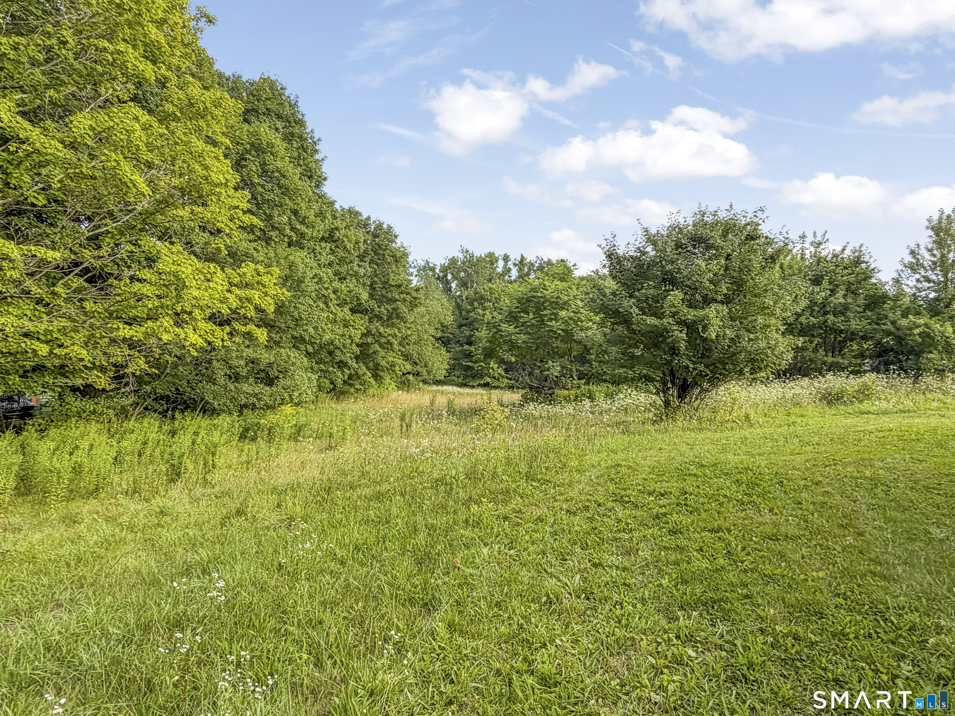 24196755 Property Photo 37