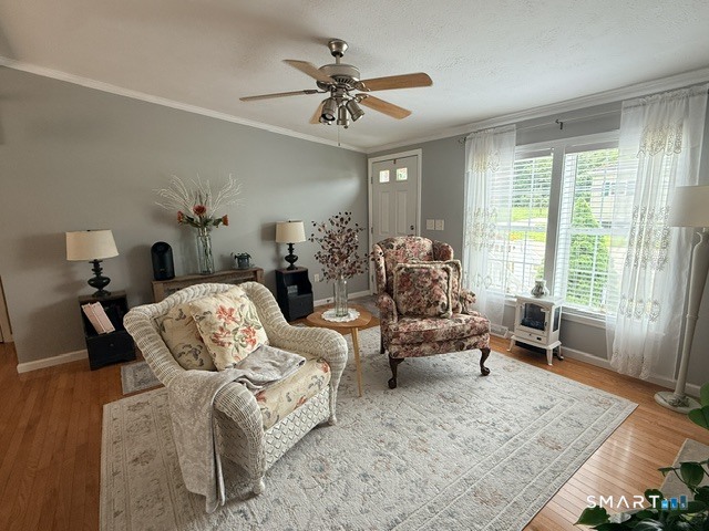 24 Cliff Road Property Photo 10