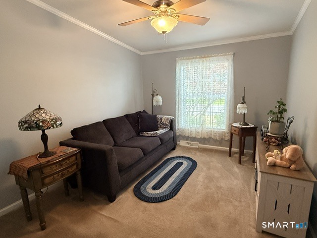 24 Cliff Road Property Photo 18
