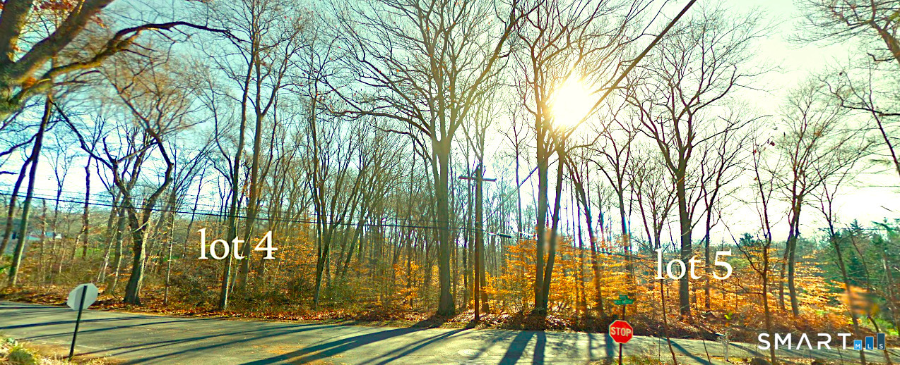 Lot # 4 And Lot # 5 Mischa West Road Property Photo 6