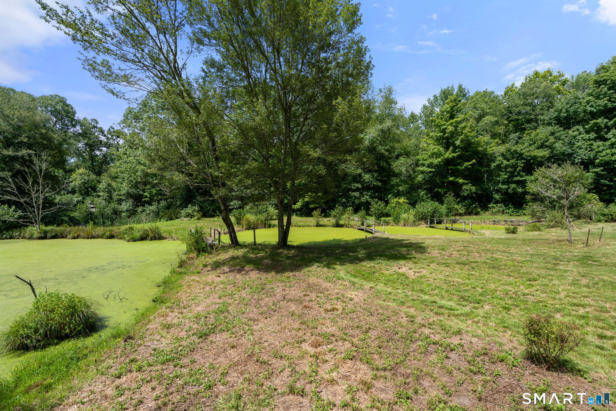 128 Holmes Road Property Photo 36