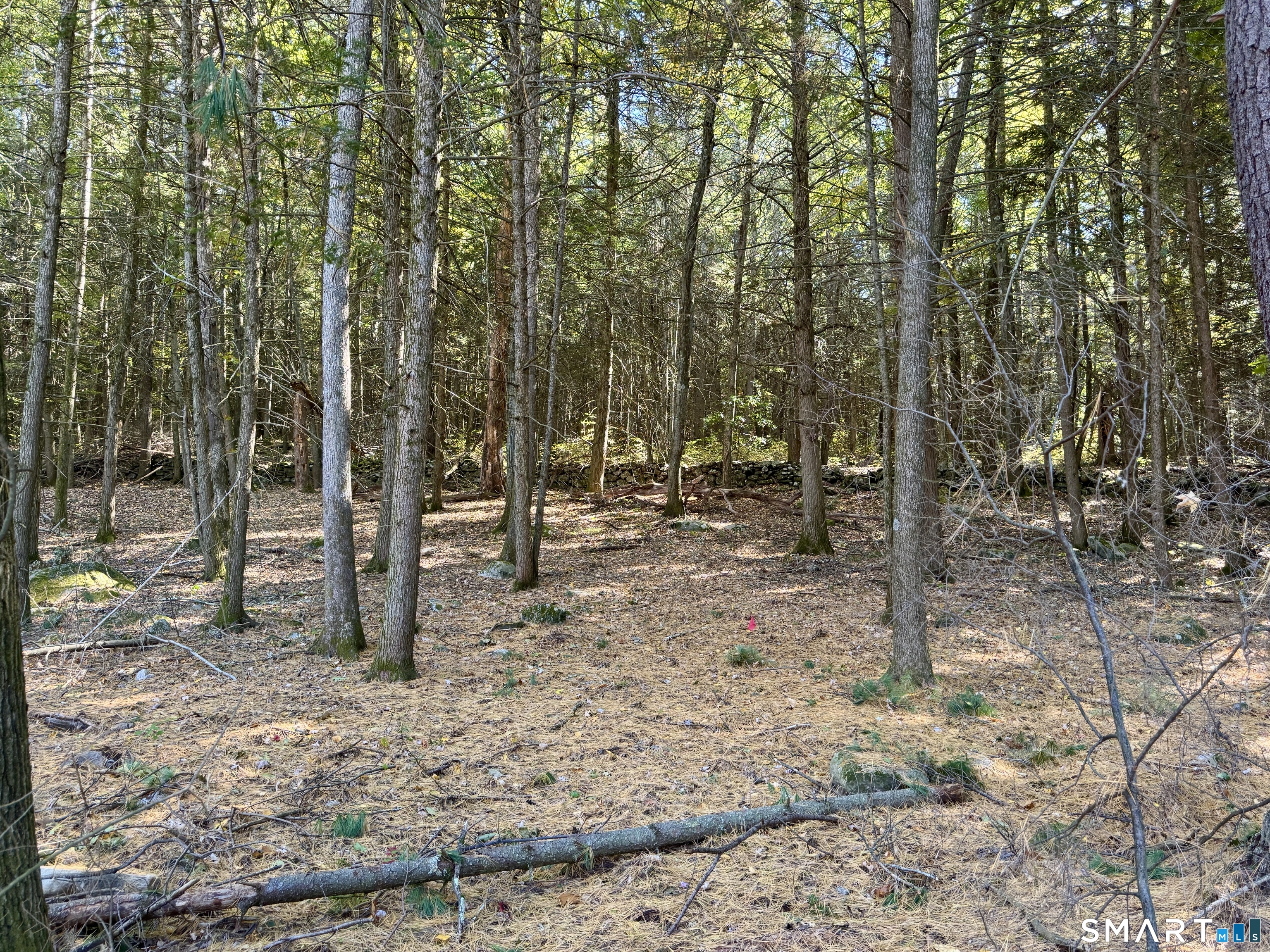 43 Baker Road Property Photo 17