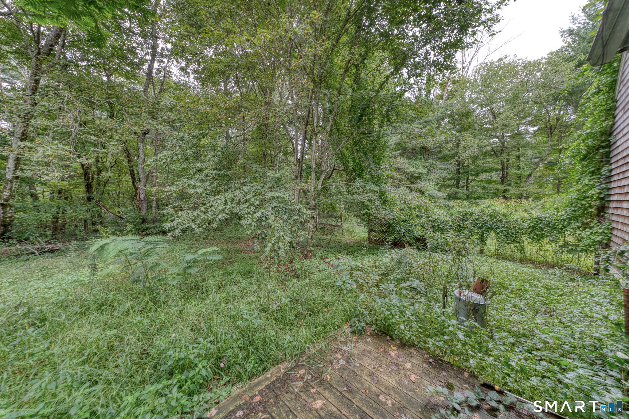 111 Ashford Center Road Property Photo 6