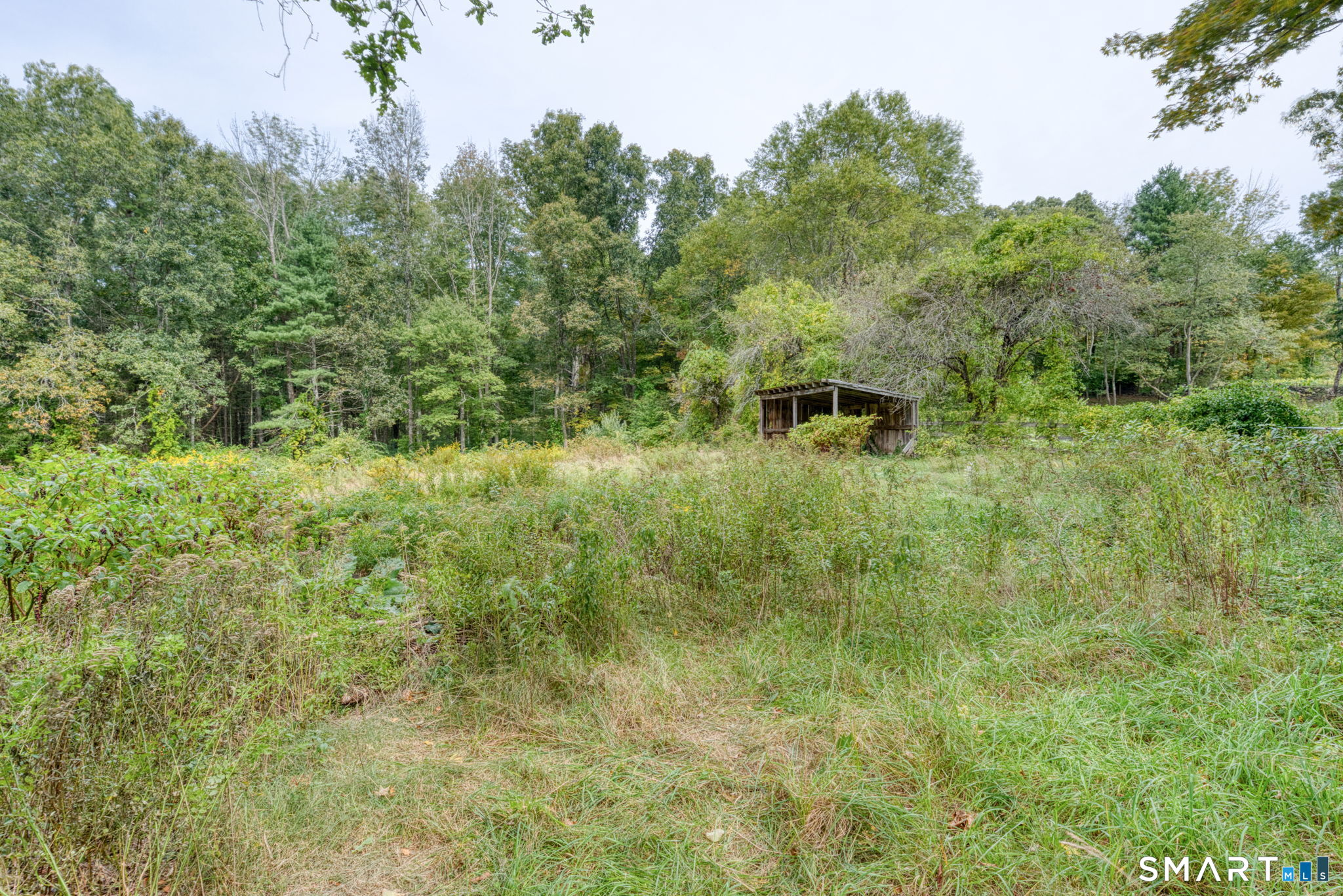 111 Ashford Center Road Property Photo 38