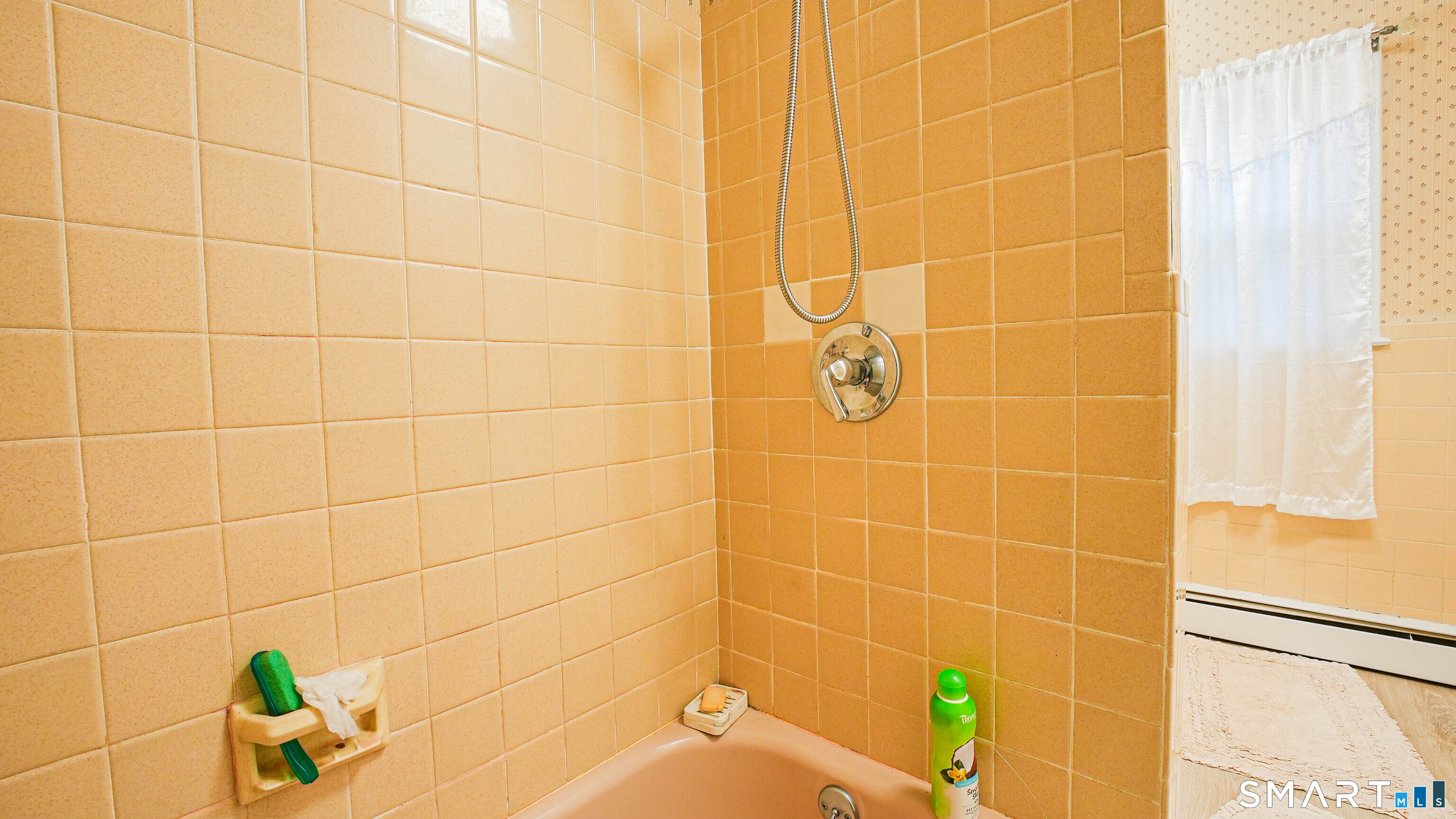 523 Treat Lane Property Photo 10