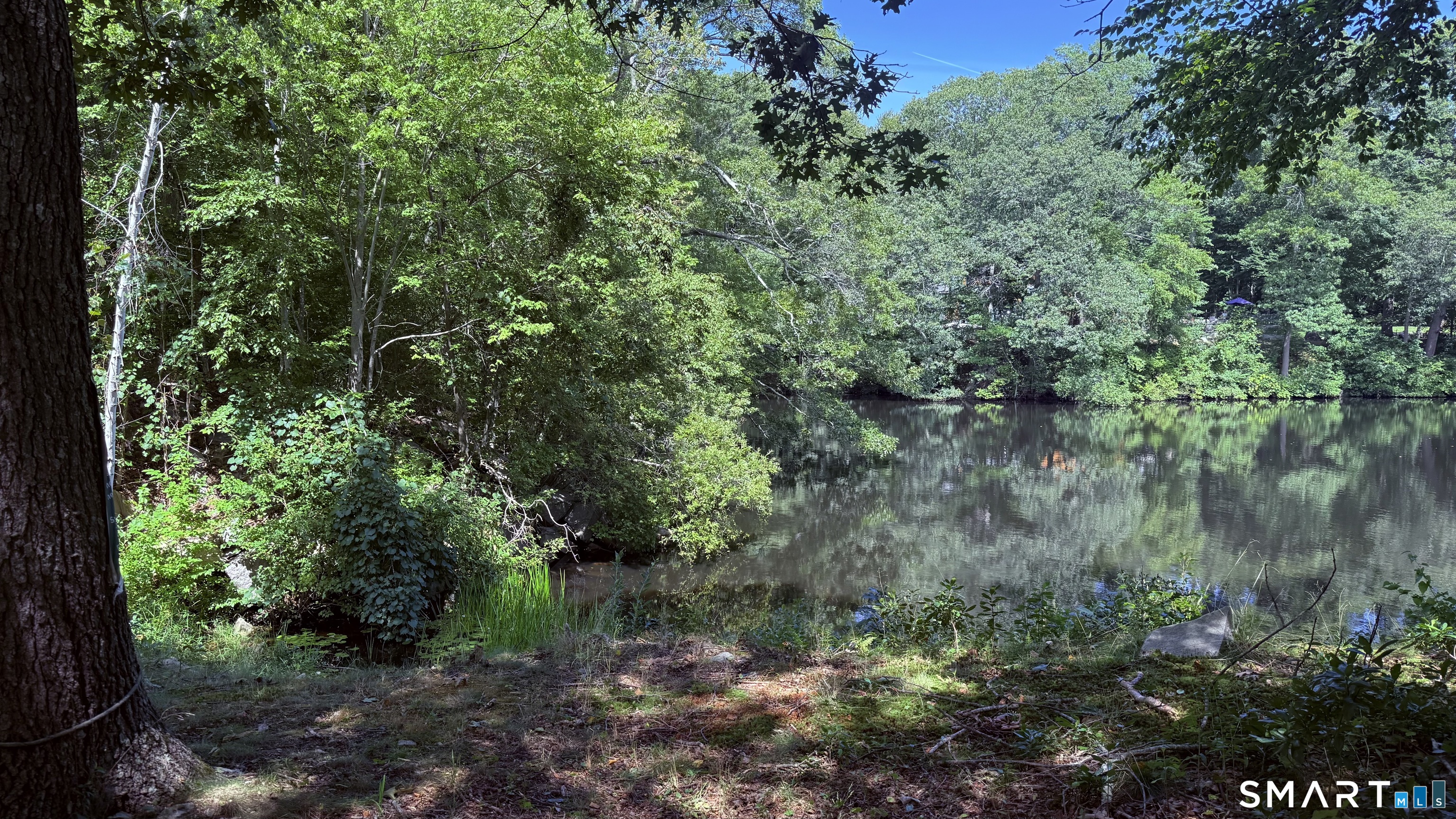 186 Great Neck Road Property Photo 12