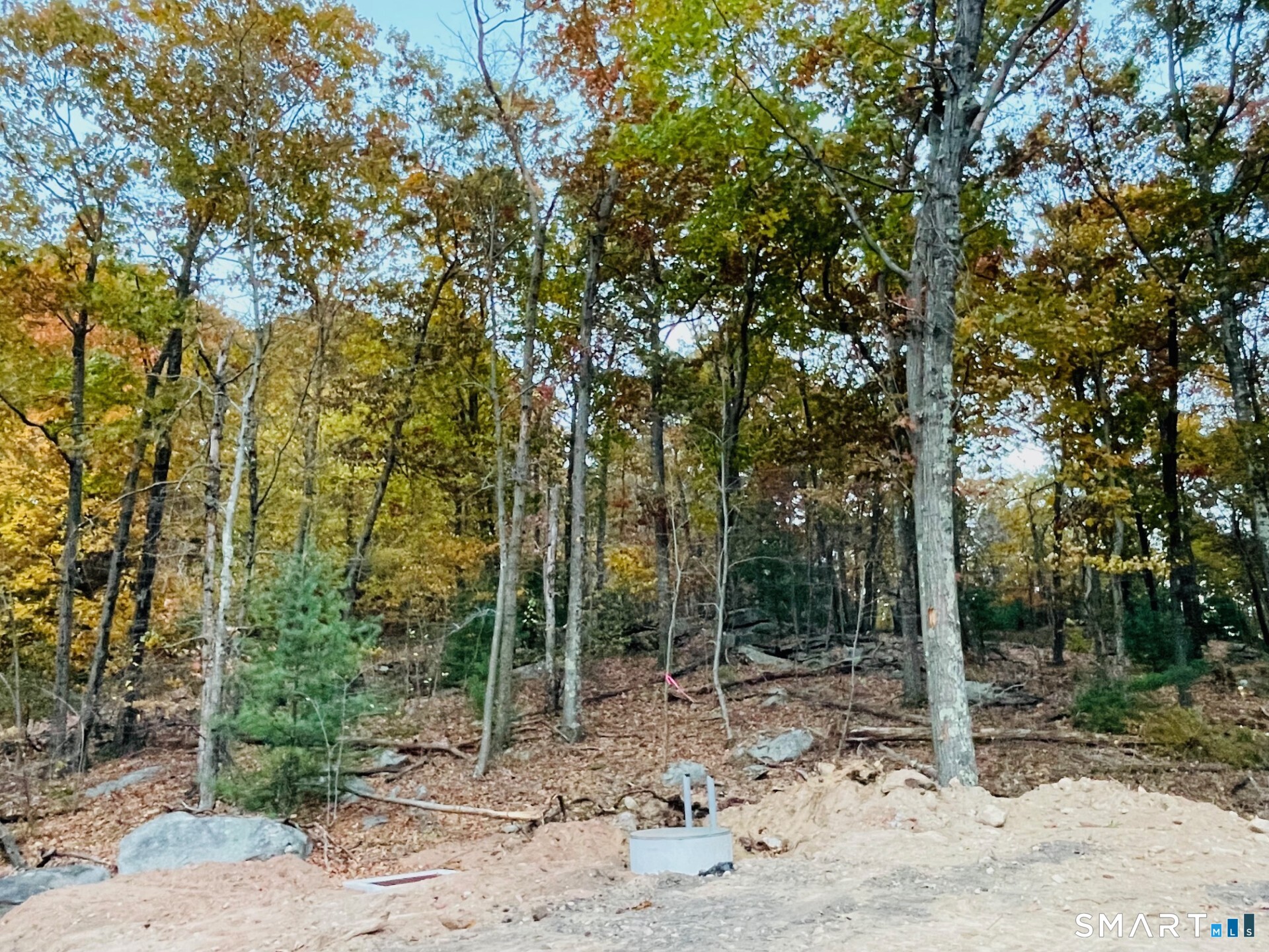 245 Knollwood Drive Property Photo 4