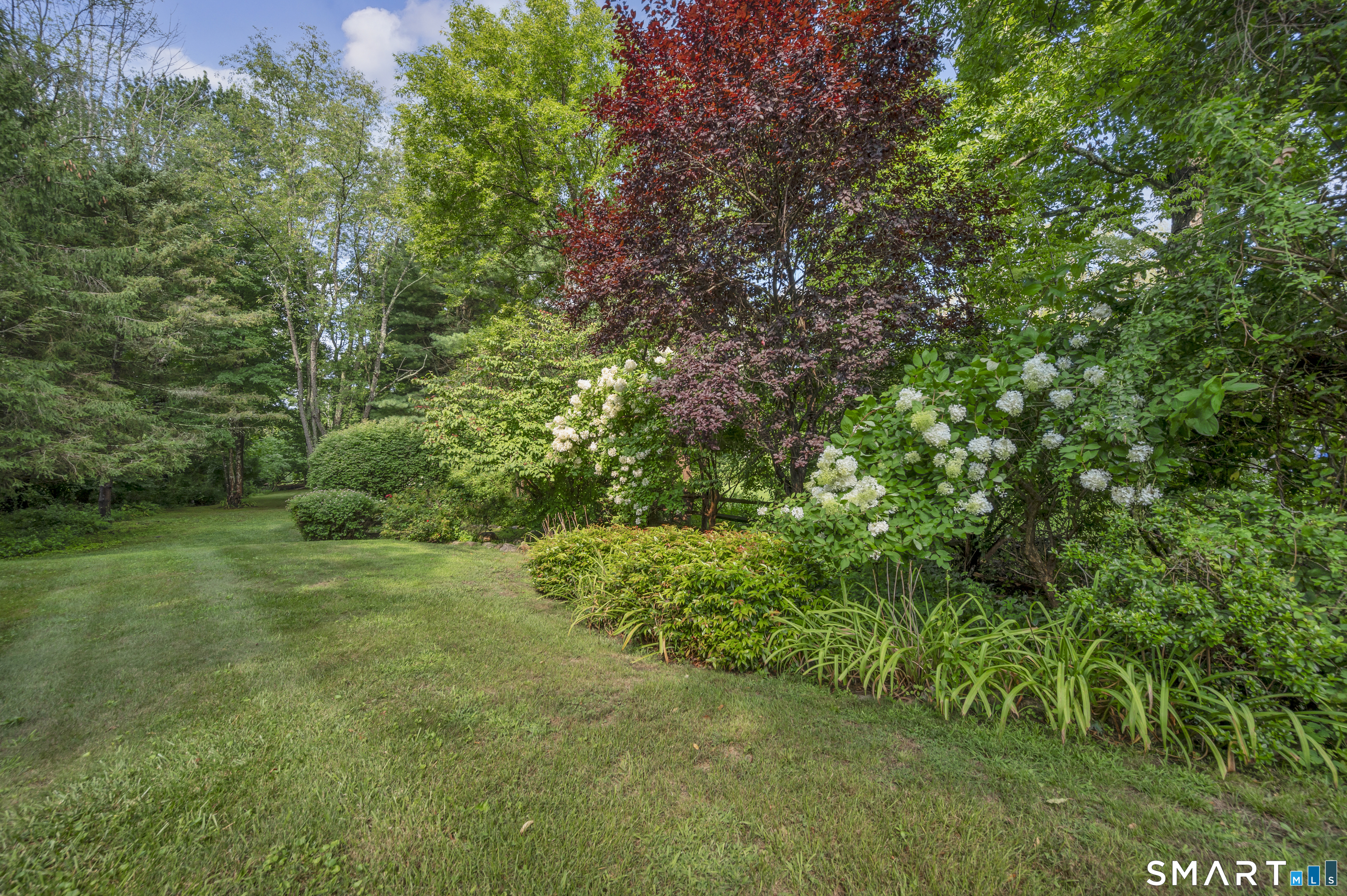 11 Plains Road Property Photo 38