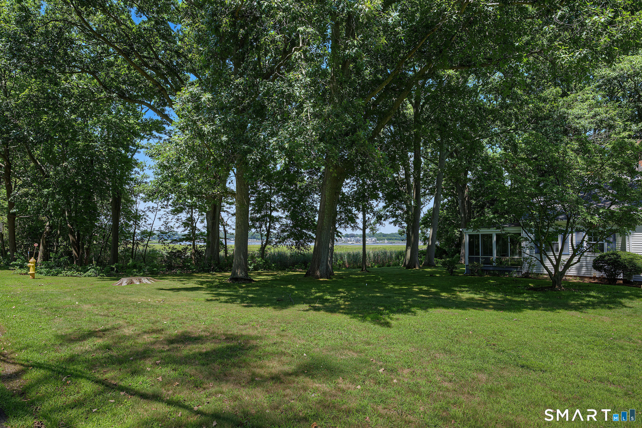 31 Pawson Road Property Photo 14