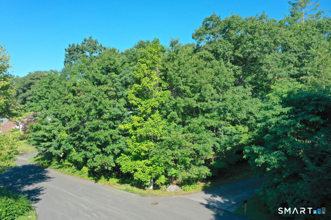 0 Brightwood #7 Avenue Property Photo 2
