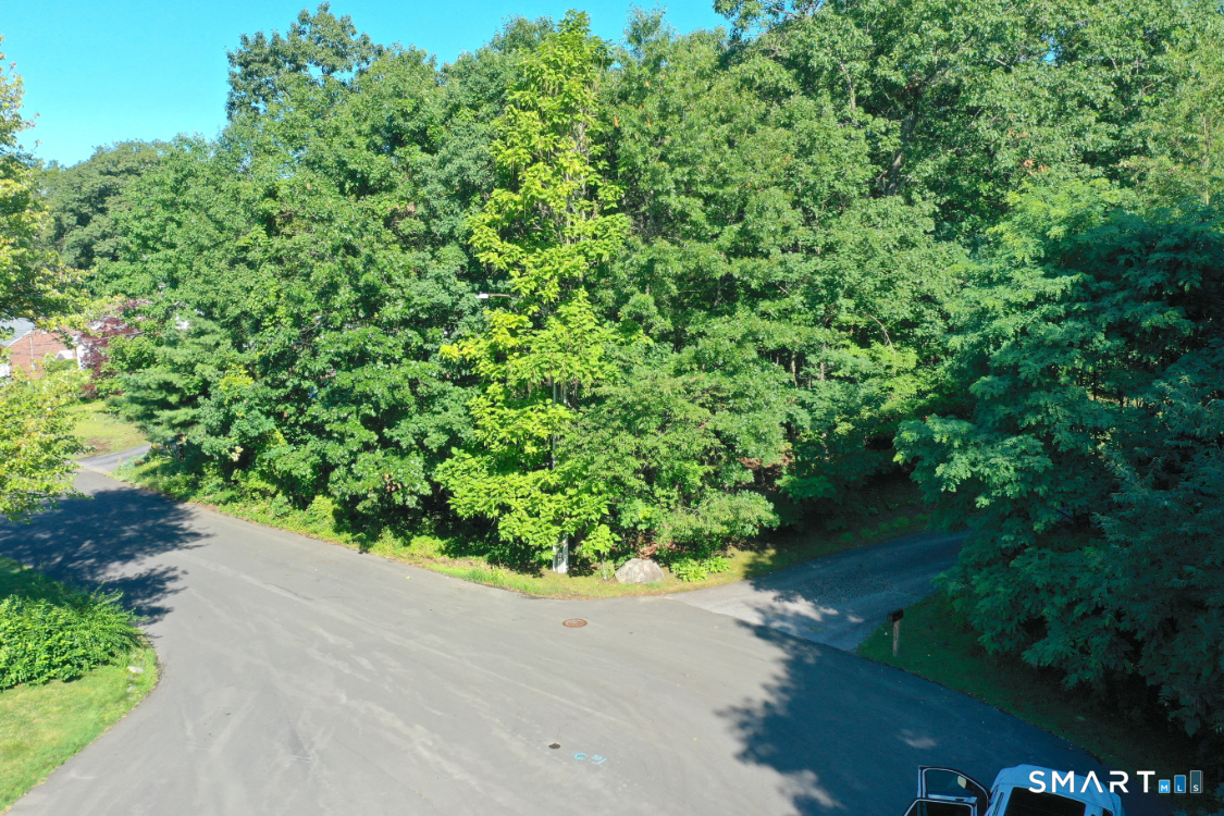 0 Brightwood #7 Avenue Property Photo 3