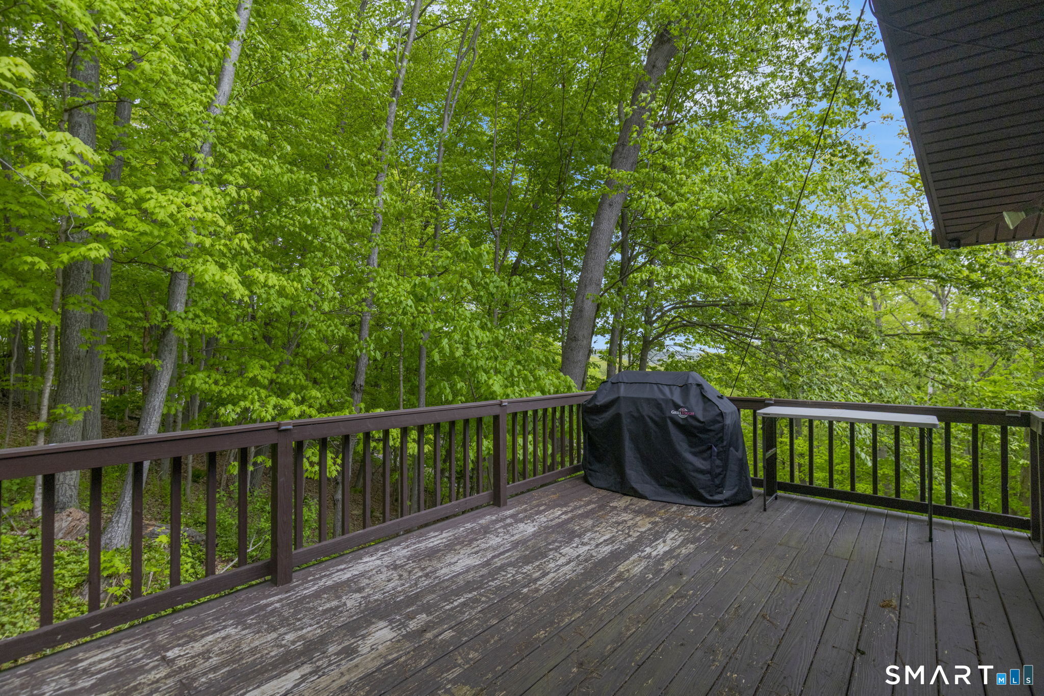 41 Elbow Hill Road Property Photo 21