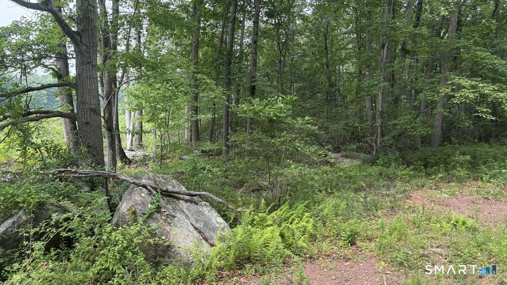 195 Silver Springs Drive Property Photo 3
