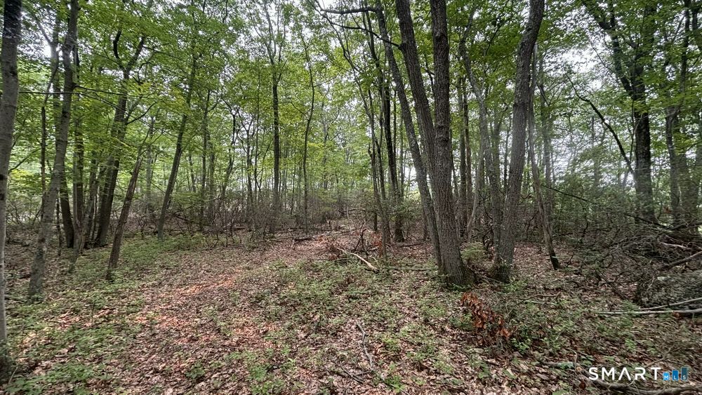 195 Silver Springs Drive Property Photo 4