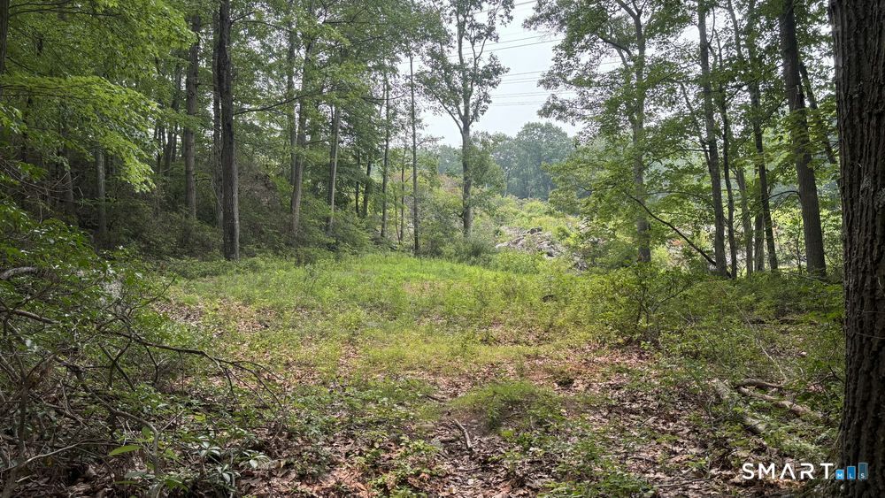 195 Silver Springs Drive Property Photo 7