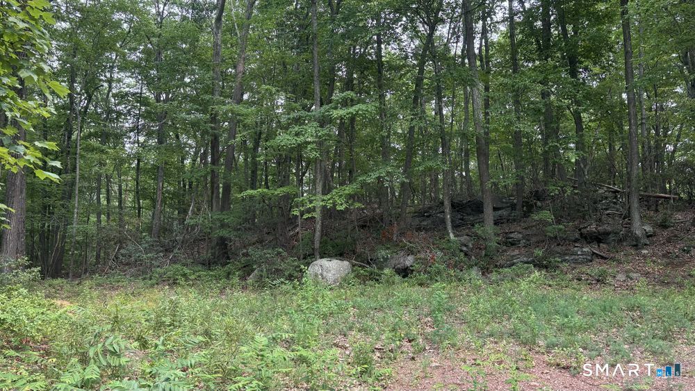 195 Silver Springs Drive Property Photo 9