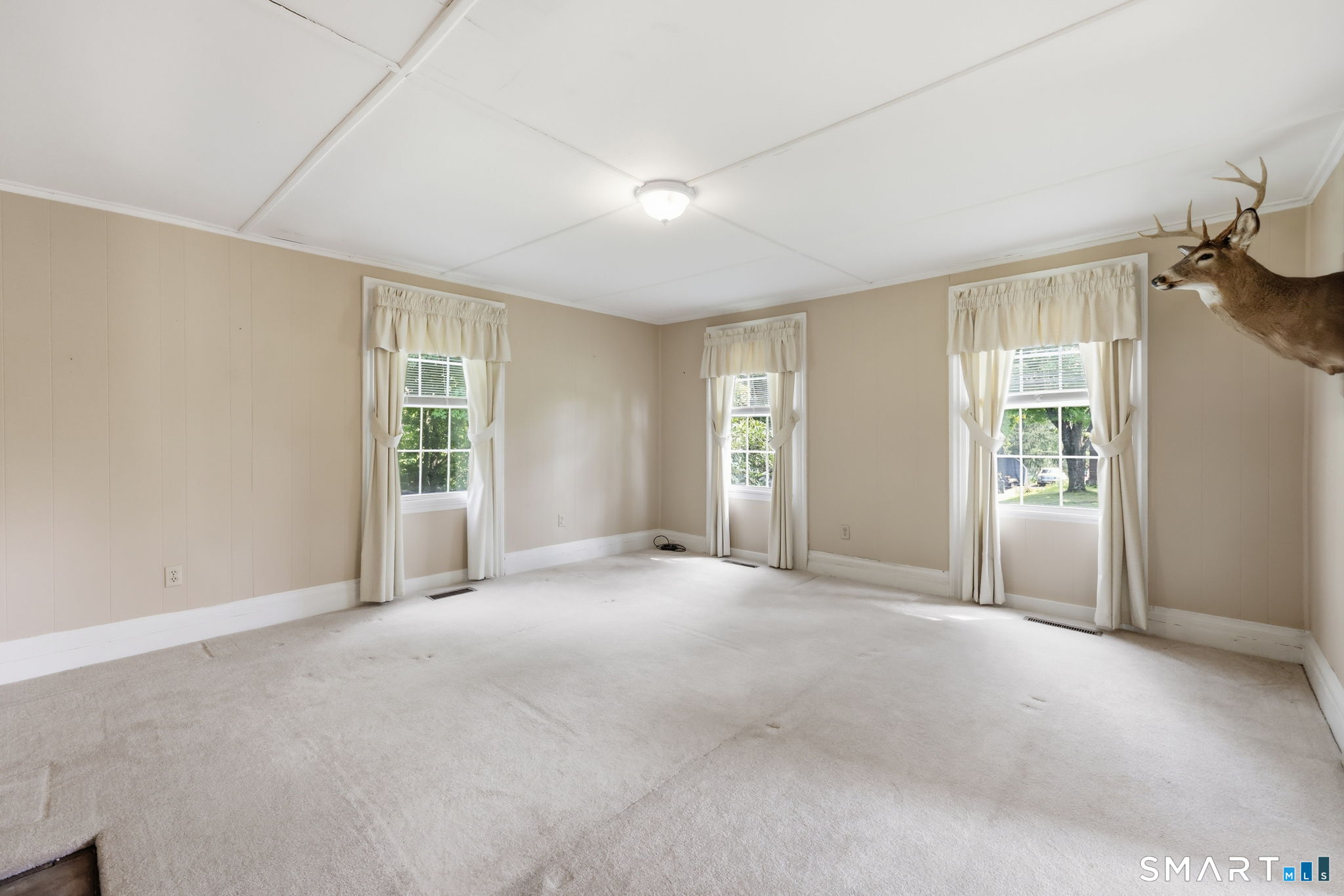 137 Parmelee Hill Road Property Photo 14