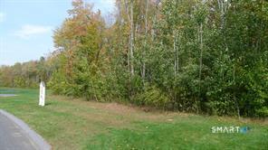 603 Hall Hill Road Property Photo 3
