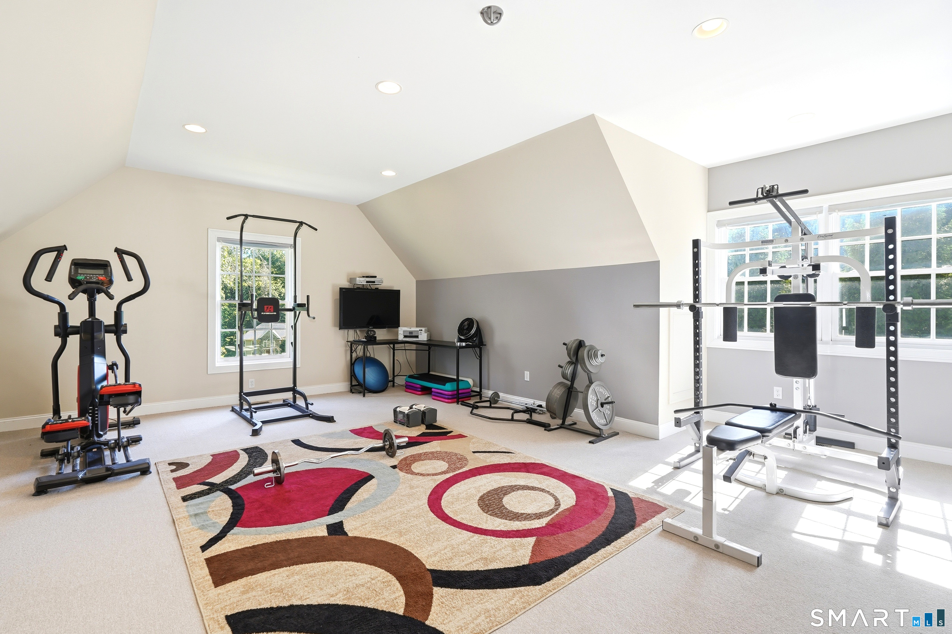 30 Carriage Drive Property Photo 29