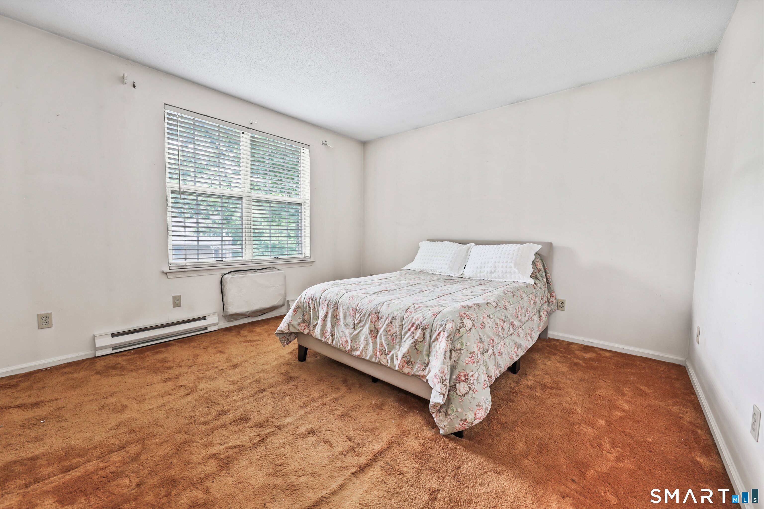 123 Queens 123 Road Property Photo 19