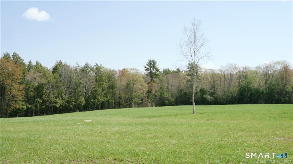 235 Granville Road Property Photo 5