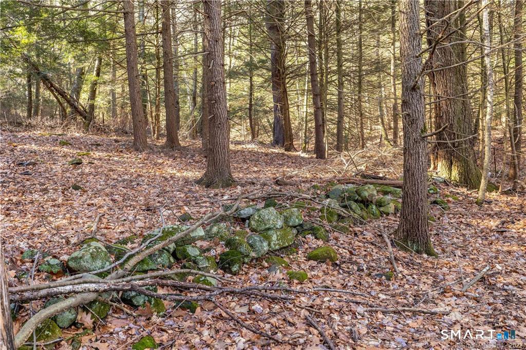 235 Granville Road Property Photo 8