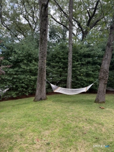 6 Vanderbilt Avenue Property Photo 22