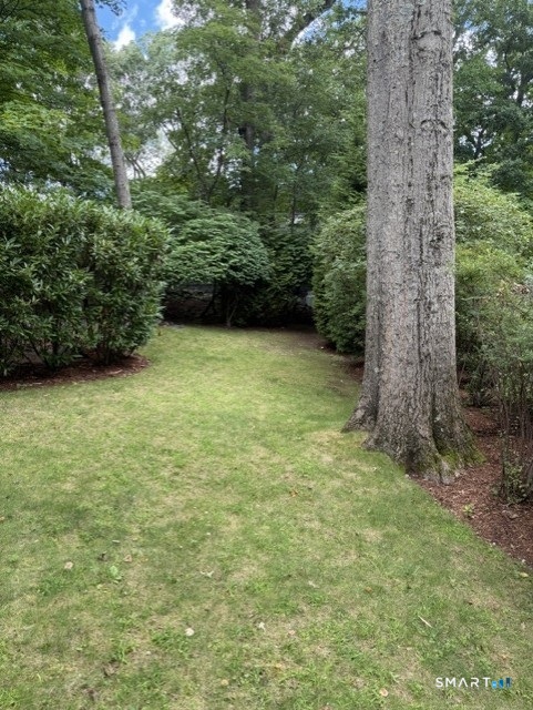 6 Vanderbilt Avenue Property Photo 26