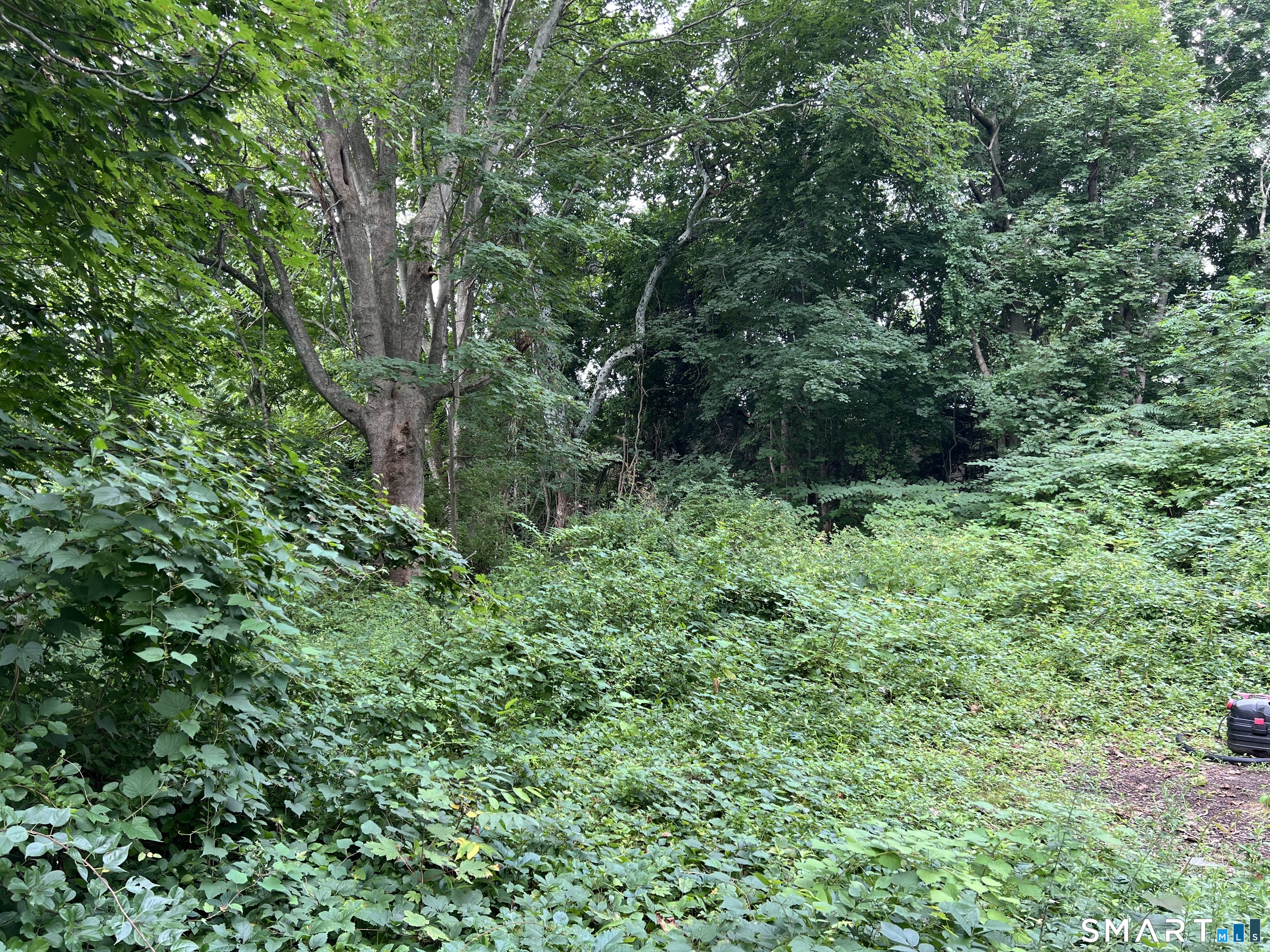 43 Quarry Street Property Photo 2