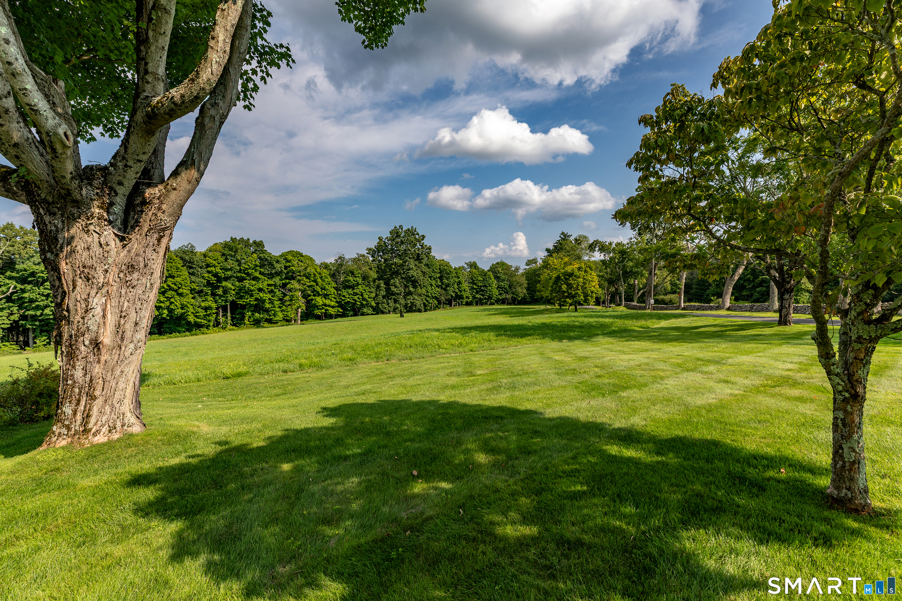 162 Hutchinson Parkway Property Photo 6
