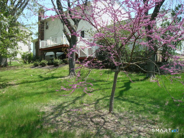 375 Olde Stage Road Property Photo 15