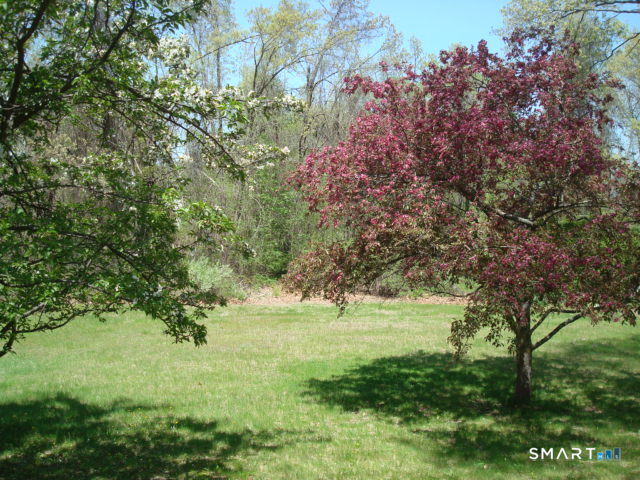 375 Olde Stage Road Property Photo 16