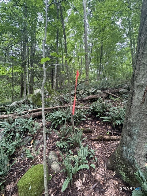 Storrs Lot 32 Road Property Photo 2