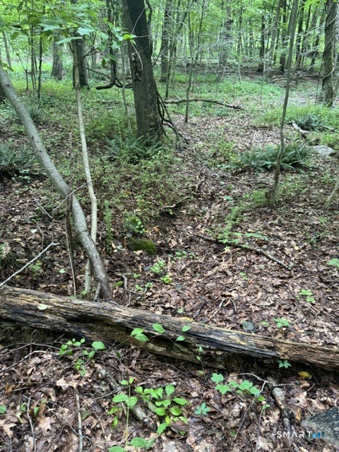 Storrs Lot 32 Road Property Photo 4