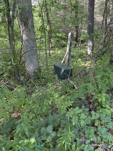 Spectacle Ridge Road Property Photo 2