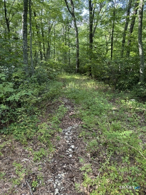 Spectacle Ridge Road Property Photo 3