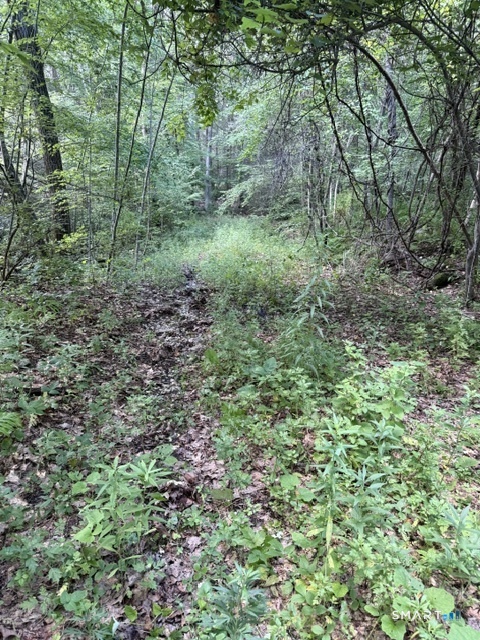 Spectacle Ridge Road Property Photo 4